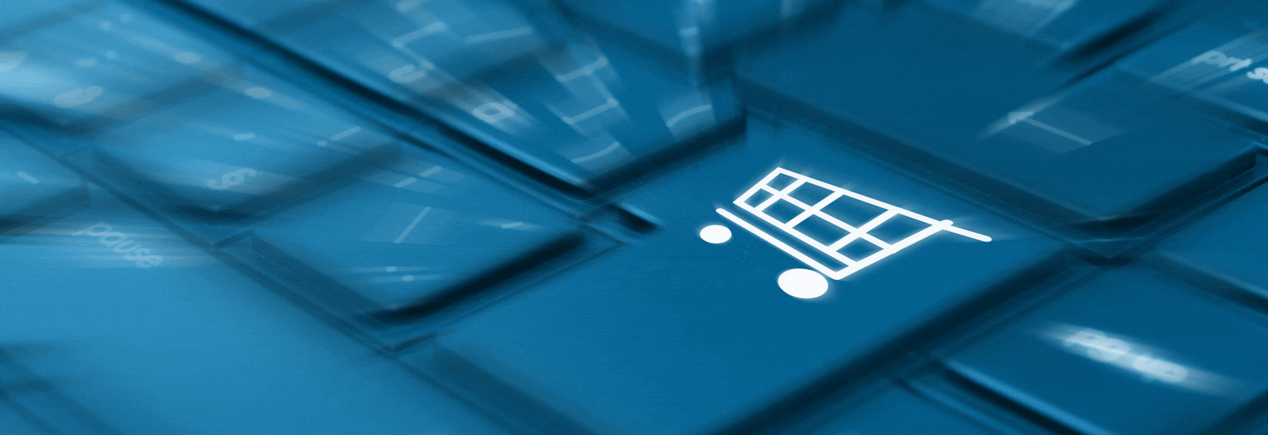 Better Customer Experience? Distributors Lean Into eCommerce in 2022