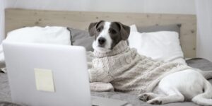 Anti-Social Distancing: The Best Worst Advice on Working from Home