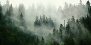 Clearing Your Revenue Fog: How Data Gaps Hurt Sales (And How to Fix Them)
